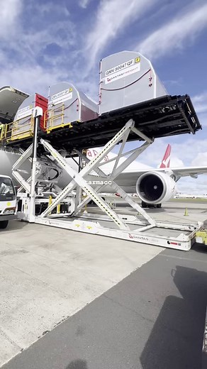 Unloading. #plane #planespotting #planespotter #Planes #Cargo #freight #unloading #airport #sydney #australian #Australia #aviation #aviationlovers #airplane #airlines #aircraft #airliners #pilotlife #pilot #crew #runway | Tarmacc
