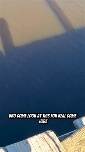 2.4M views · 10K reactions | "its something dead bro..." #magnetfishing #catchandcook #whitetailseason #whitetail #dinner | Daniel Bowens | Facebook