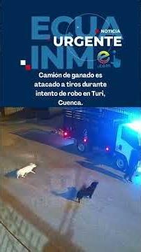 Camión de ganado es atacado durante intento de robo en Turi, Cuenca.