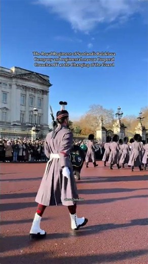 Shetland Pony Mascot Steals the Show at Changing of the Guard 🐴👑