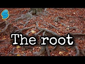 Parts of plants (በአማርኛ) grade 7 biology unit 4 part 4