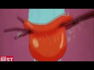 Donald Duck Raft Water inflation to pop