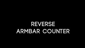 Reverse Armbar Counter