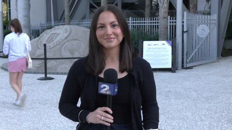 Iva Jovic wins in Charleston Open debut