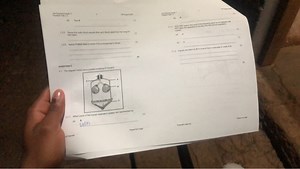 Life Sciences Grade 11Practical Task 1.2FBJ August 2024(b) ... | Filo