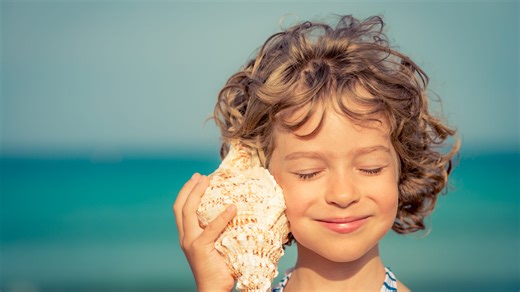 Just4Kids: Where do seashells come from?