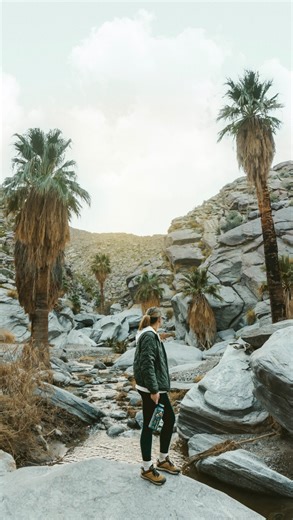 Yes, you can hike through a legit palm oasis in Palm Desert and no, it’s not a mirage. This is Palm Canyon, part of the Tahquitz Canyon and Indian Canyons, and it’s located on the ancestral lands of the Agua Caliente Band of Cahuilla Indians. The tribe protects and manages this area, so please treat it with respect and follow all posted guidance. You can make this hike as easy or as involved as you want. There’s a short, flat stroll that gets you into the oasis quickly, or you can link into a lo