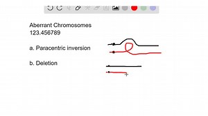 SOLVED:The normal sequence of nine genes on a certain Drosophila chromosome is 123 ·456789, where the dot rep- resents the centromere. Some fruit flies were found to have aberrant chromosomes with the following struc- tures: a. 123 ·476589 b. 123 ·46789 c. 1654 ·32789 d. 123 ·4566789