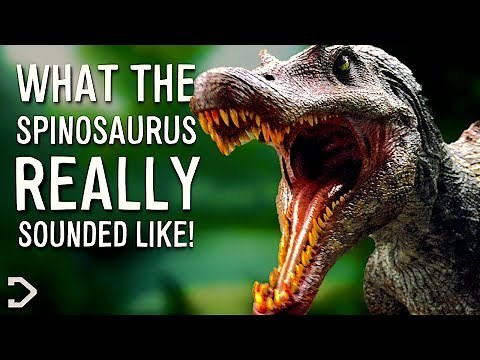 What Did The Spinosaurus REALLY Sound Like?