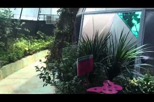 Butterfly sanctuary to open at Science Centre Singapore