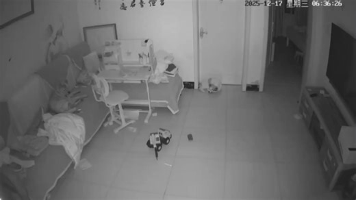 【cHn_6sIx6】新作上线，快来看看！