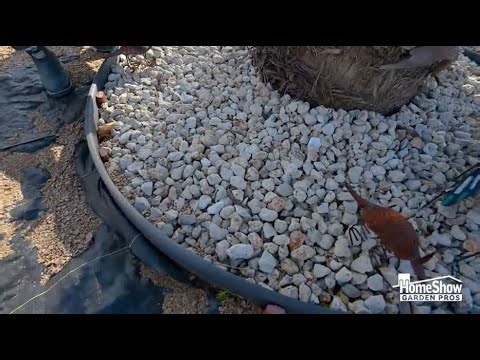 Rock or Mulch? Choosing the Right Landscaping for Cold Weather - Sienna Mulch