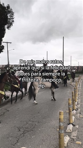 De mis malos ratos aprendí: reflexión sobre felicidad y tristeza
