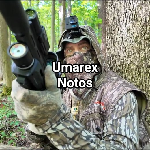 Squirrel Hunt Umarex Notos #smallgamehunting #squirrelhunting #americansquirrelhunter