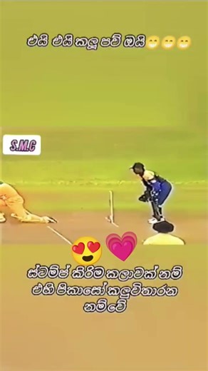 කලුවිතාරන 😍💗 #cricketfan #cricket #viral #viralvideo #trending #shortvideo #srilanka #video #tiktok