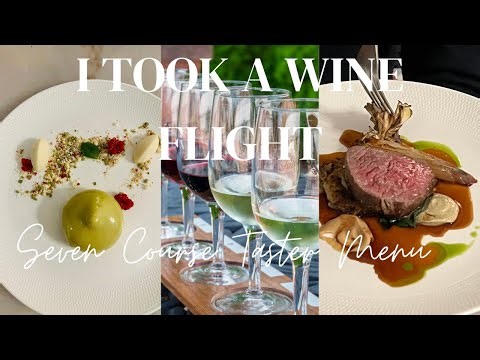 7 Course Meal + Wine Flight at Winslade Park #dinner #wine ​#silentvlog