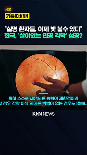 "눈 수술하러 한국 갑니다" 실명 환자 눈 뜨게한 K-의술? / KNN