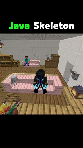 Java Skeleton 😴 vs Bedrock Skeleton 💀 (Not Fair!)