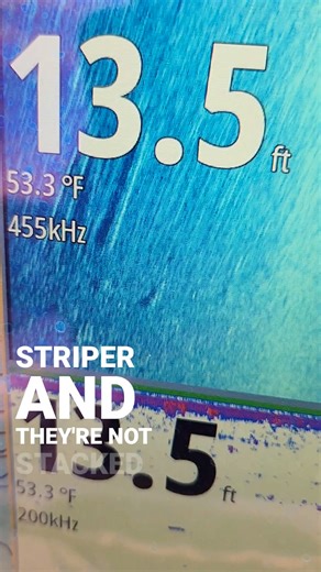 Having sidescan is an important tool when it comes to jigging up striper when they're channeled up in the early season. In this video, Pro Staffer and Charter Captain @captbrianwilliams explains to us how to read a sidescan sonar. The unit featured is a Simrad GO12 with active imaging transducer. . . . #sidescansonar #simrad #ocnjfishing #saltwaterfishing #tips #fishingtips #fishing #saltwaterfishing #sonar #sonarshots #catchandrelease #charterfishing #backbay | TackleDirect