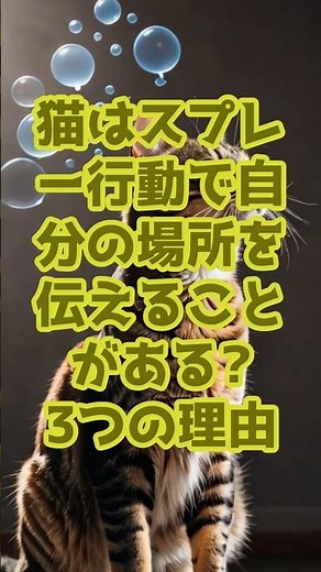 猫はスプレー行動で自分の場所を伝えることがある!? 3つの理由 #猫の行動 #猫好きさんと繋がりたい #猫豆知識 #ネコの気持ち #catfacts