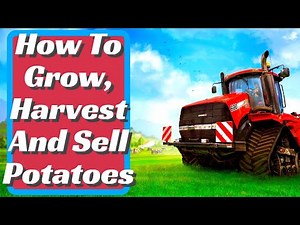 Farming Simulator 22 | Complete Potatoes Guide | How To Grow, Harvest And Sell Potatoes