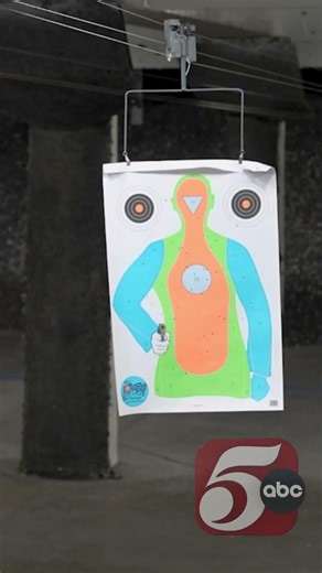 Gun shops see a notable spike in business following recent ICE activity