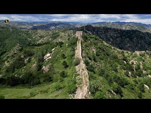 🌿 Relaxing Music Live Stream – Calm, Sleep, Study & Meditation