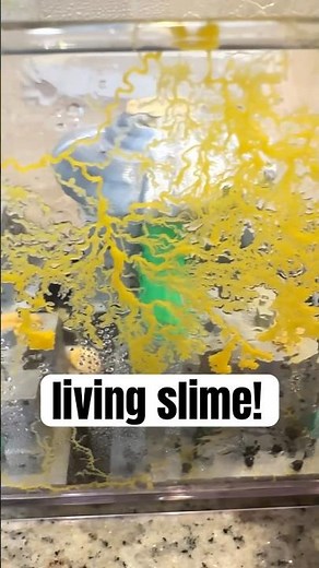 We grew LIVING SLIME!? 😱😱😱