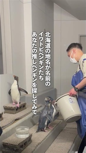 【狸の名店】AOAO SAPPORO（狸小路3丁目）