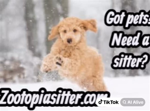 Got pets? Need a sitter? Zootopiasitter.com… providing loving care when you’re not there… trustworthy and reliable pet sitting… reach out today!!!#putnamcounty #westchester #danburyct #ridgefieldct #northsalem | Zootopia Sitter | Facebook