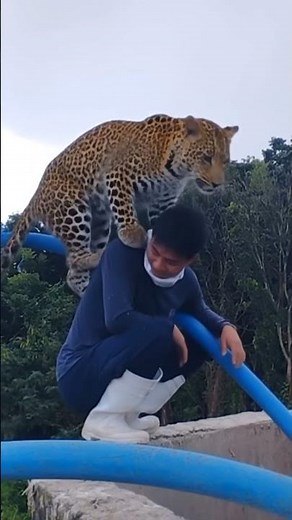 meet my pets #roshninandi #bebifreitas