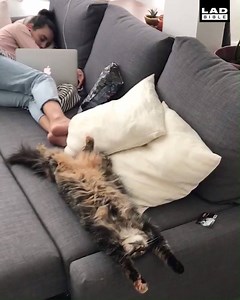 Me: Sorry I can't tonight, I'm busy. Also me: | LADbible