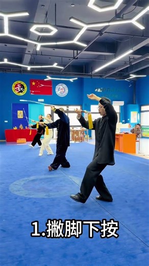 Zero foundation quickly learn martial arts and swordsmanship one move makes you stand tall