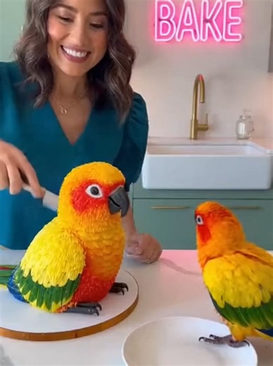 Parrot Cake Cutting with a Live Parrot Nearby
