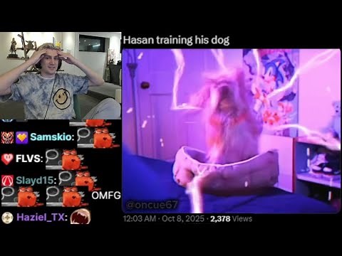 xQc Speechless Seeing Meme of Hasan Abusing his Dog with Shock Collar