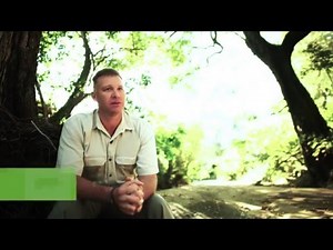 See how technology transforms rhino conservation