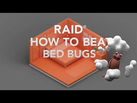 United States - Raid® How to Beat Bed Bugs
