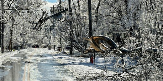 Tennessee Attorney General warns of tree trimming and removal scam following winter storm