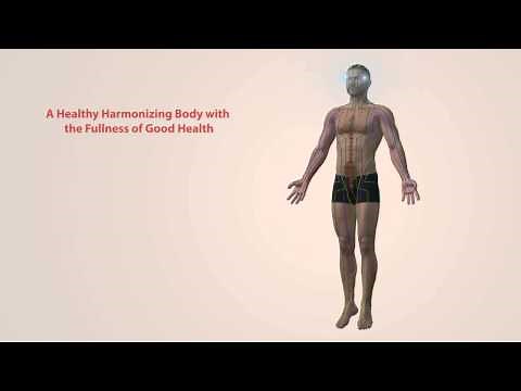 Preview: How The P6 Pressure Point Works In The Body