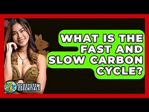 What Is The Fast And Slow Carbon Cycle? - Ecosystem Essentials