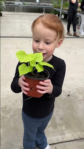 The Best (FREE) Rainy Day Activity for Kids 🌿🌺