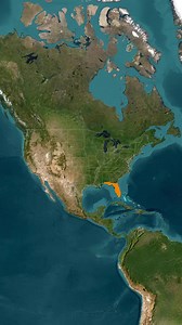 Florida Panhandle 🇺🇸 Why Does Florida Have It and Not Alabama? 🤔 #florida #alabama #panhandle #floridapanhandle #state #statefact #border #floridaborder #alabamaborder #us #learn #usa #unitedstates #states #map #maps #geography #history #border #viralfact #facts #fyp #geotok #historytok | GeoGlobe.Taless