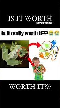 Is It really worth It? Meme Compilation