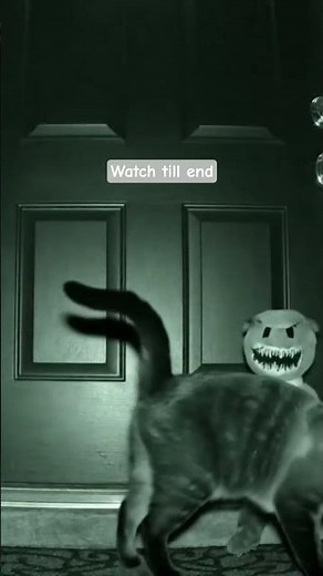 Night Vision Cat Prank Cat was Shocked 😱😳🐾