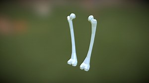 Femur - 3D model by paperstatue