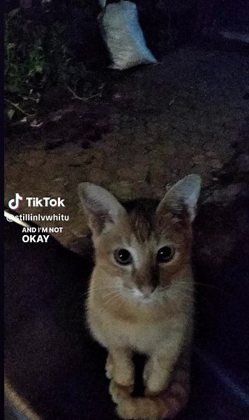 Oceans and Engines: Understanding NIKI's Lyrics