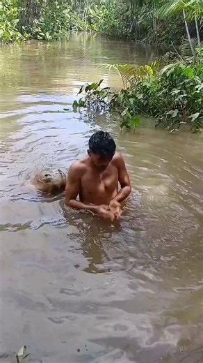 【衝撃】浅瀬でまったり立ってる男の後ろに…巨大エイが突然忍び寄ってくる瞬間がエグすぎる😱静かな水面の下から、まるで狙い撃ちのように近づいてきて一瞬で「終わりだ…」ってなる恐怖www■ヤバいポイント・完全に死角から忍び寄る動き・エイの尾の毒針が脳裏をよぎる・Steve Irwinの事故を思い出す人続出・でも「死んだエイを操ってる説」が有力で物議海や川で水が濁ってるとき、マジで足元注意…エイは基本攻撃しないけど、踏んだり驚かせたら一発でヤバい。この動画見て「うわっ！」って声出た人RT！あなたなら即逃げる？それとも固まる？保存して海遊び前に見直したくなるやつ
