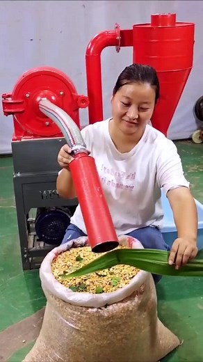 Operating a Grain Mill: Step-by-Step Process