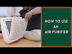 How to Use an Air Purifier PROPERLY (Do They Actually Work?)