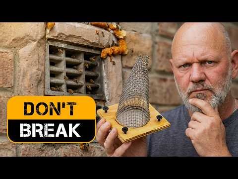 I Removed 5,000 Bees With Just a Box and Patience